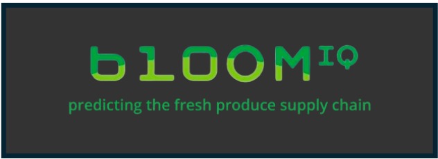 bloom iq logo